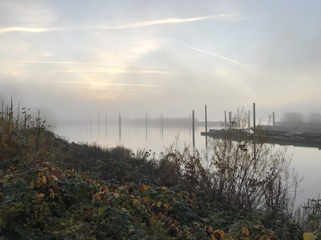 Elbe, Jollenhafen Blankense, morgens im Nebel